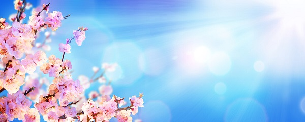 戰(zhàn)疫情，北京韋林公司全體員工齊心協(xié)力共克時(shí)艱！